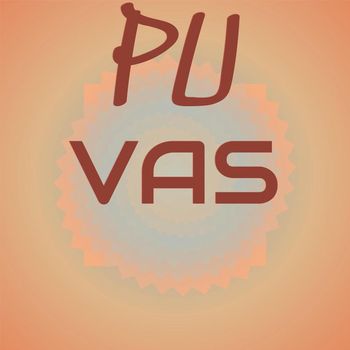 Various Artists - Pu Vas