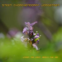 Steen Chorchendorff Jorgensen - Under the Light Above the Air