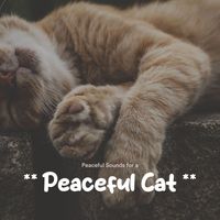 Music For Cats, Cat Music, Music for Pets - ** Peaceful Sounds for a Peaceful Cat **