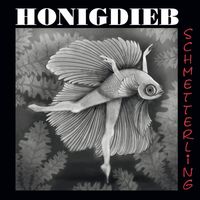 Honigdieb - Schmetterling