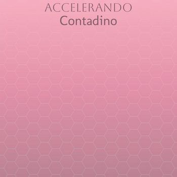 Various Artists - Accelerando Contadino