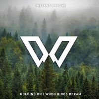 Instant Groove - Holding On / When Birds Dream