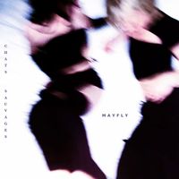 Mayfly - Chats sauvages