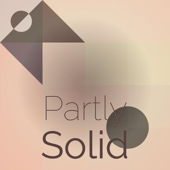 Various Artists - Partly Solid
