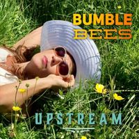 Upstream - Bumblebees