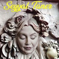 Seyyal Taner - Armut