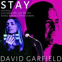 David Garfield - Stay