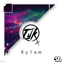 TyK - Xylem