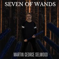 Martin George Selwood - Seven of Wands