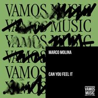 Marco Molina - Can You Feel It