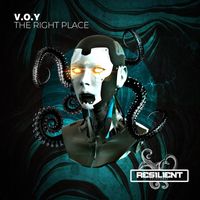 V.O.Y - The Right Place