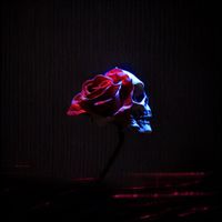 CHVRN - Promises