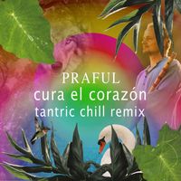 Praful - Cura el Corazón (Tantric Chill Remix)