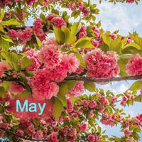 Four Seasons - May