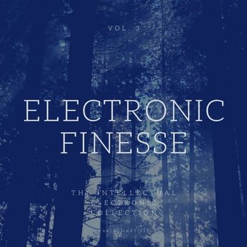 Various Artists - Electronic Finesse (The Intellectual Electronic Collection), Vol. 3