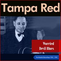 Tampa Red - Worried Devil Blues (The Bluebird Recordings 1934 - 1935)