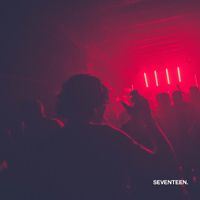 Bozandmonstrr - Seventeen
