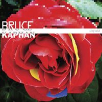 Bruce Kaphan - Hybrid