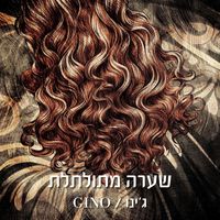 GINO - שערה מתולתלת
