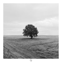 Ky - Together out of Rythm