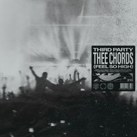 Third Party - Thee Chords (Feel So High)