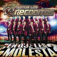 Banda Los Recoditos - ¿En Qué Les Molesta? (Explicit)