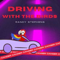 Randy Stephens - Driving with the Birds