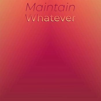 Various Artists - Maintain Whatever