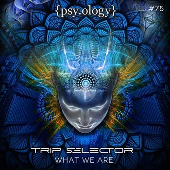 Trip Selector - What We Are