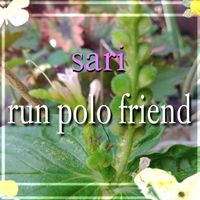 Sari - run polo friend