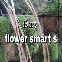 FERY - flower smart s