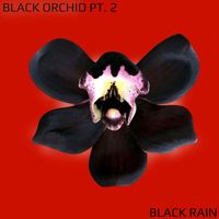 Black Rain - Black Orchid Pt. 2