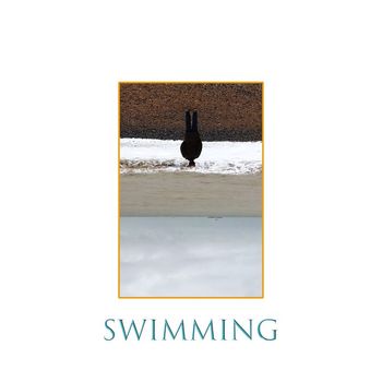 Bobby Mandala's Midnight Elite - Swimming