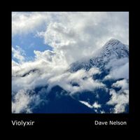 Dave Nelson - Violyxir