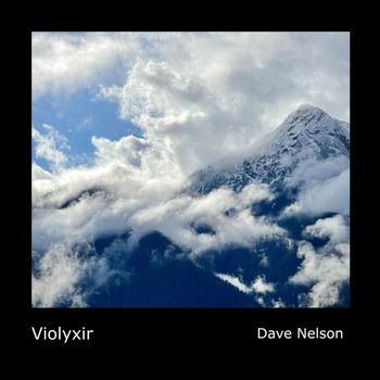 Dave Nelson - Violyxir