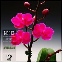 Dj Slav - After Rain