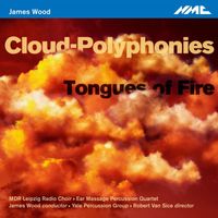 James Wood - James Wood: Cloud-Polyphonies & Tongues of Fire