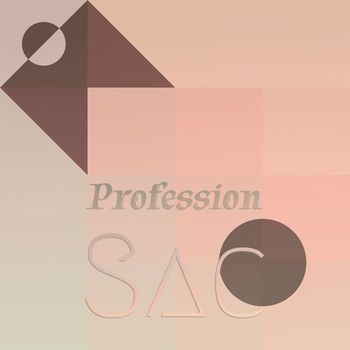Various Artists - Profession Sac