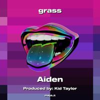 Aiden - grass (Explicit)