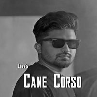 Love - Cane Corso