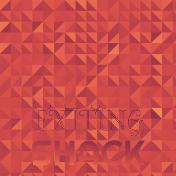 Various Artists - Exiting Shack