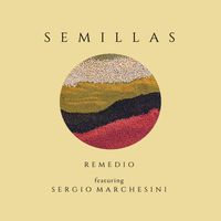 Remedio - Semillas (Live)