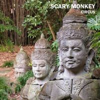 Scary Monkey - Circus
