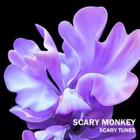 Scary Monkey - Scary Tunes