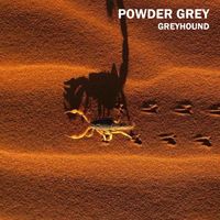 Powder Grey - Greyhound