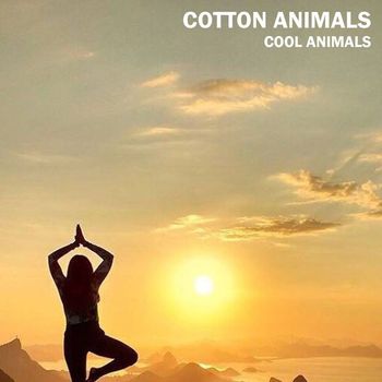 Cotton Animals - Cool Animals