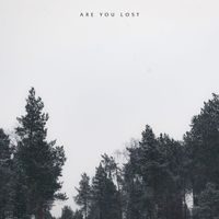 Nikki - Are You Lost