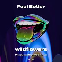 Wildflowers - Feel Better (Explicit)