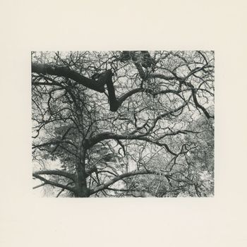 Jacob David - Stairs