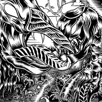 Igboogã - Jungle Creatures
